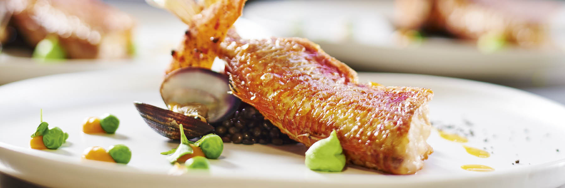 Practico Vision Teller